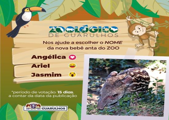 Zoológico realiza votação para escolher nome de bebê anta
