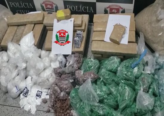 Polícia Civil apreende mais de 160 kg de entorpecentes em Guarulhos