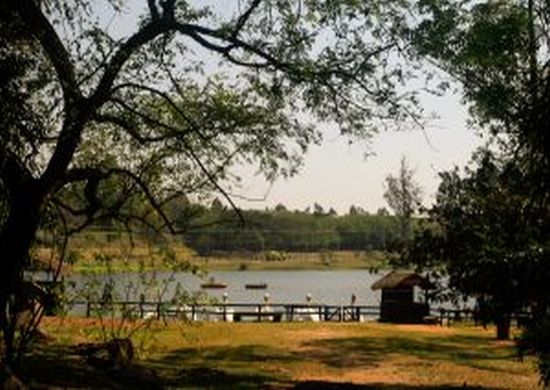 Horto Florestal recebe 10ª edição do Fica na Cantareira