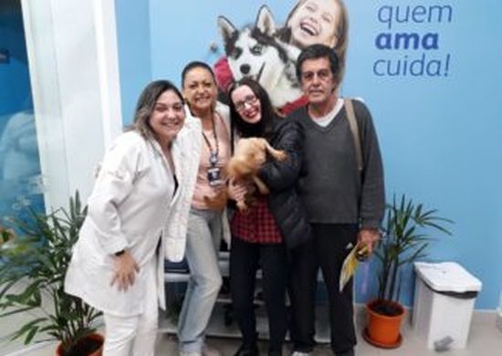 Animais resgatados pelo DPAN em Guarulhos recebem novos tutores