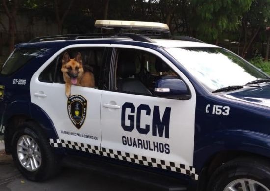 Guarulhos promove seminário sobre treinamento de cães