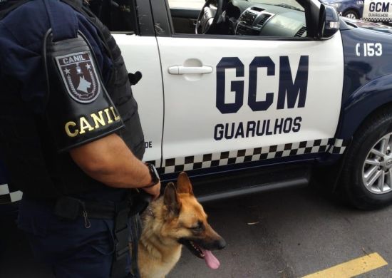 Canil da GCM participa de mantrailing em Araçoiaba da Serra