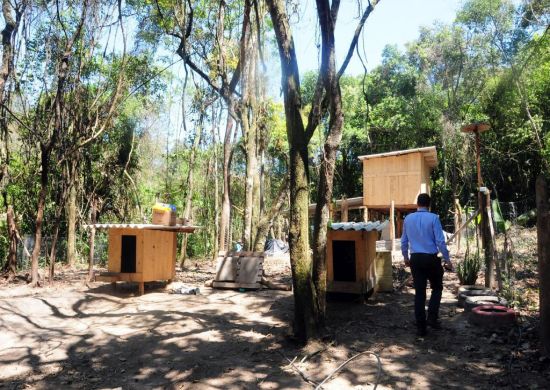 Prefeitura remove barracos em área de interesse ambiental no Bambi