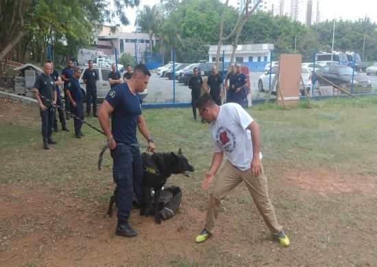 GCM realiza curso de Operadores de Cães para o Emprego Policial