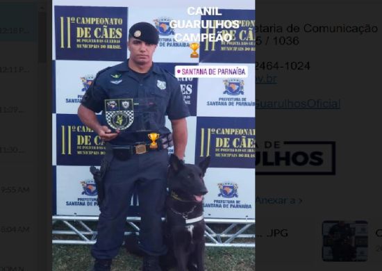 Pastor alemão da GCM vence campeonato em Santana do Parnaíba