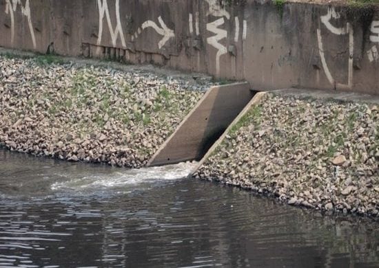 Mulher é encontrada morta no rio Tietê, na zona norte de São Paulo