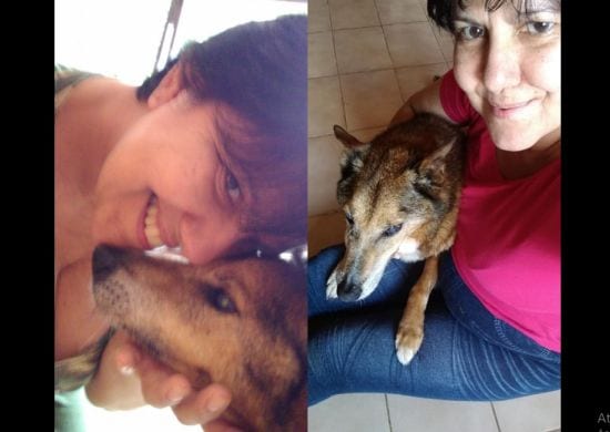 Cachorro idoso e cego ganha novo lar após resgate e recuperação no DPAN