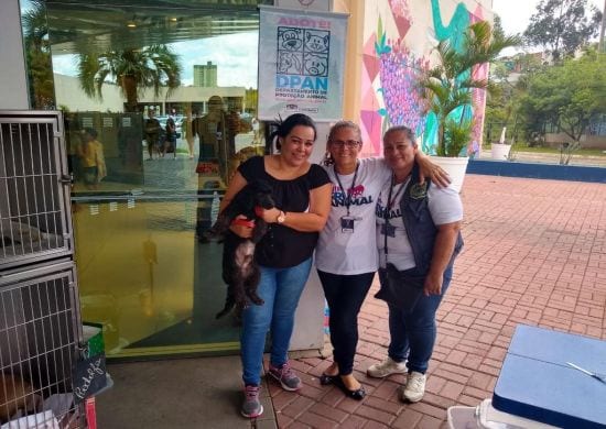 Sete cachorros e um gatinho ganharam novas famílias neste final de semana