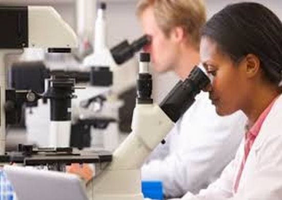 Plataforma inédita sobre mulheres cientistas é lançada em SP