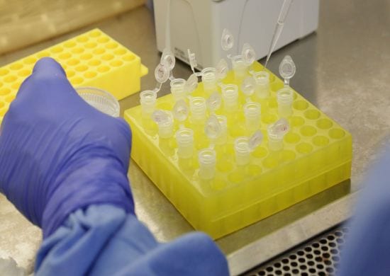 CORONAVÍRUS: Testes em brasileiros trazidos da China dão negativos