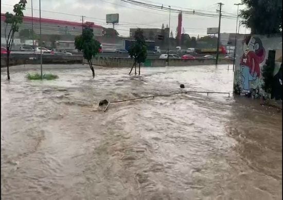 Enxurrada deixa uma pessoa desaparecida em Guarulhos