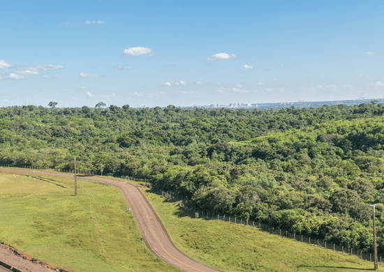 Governo fecha fronteiras terrestres com países sul-americanos