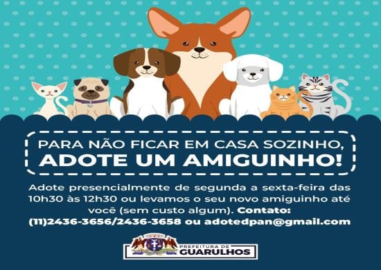 Prefeitura realiza entrega de animais adotados por meio online durante a quarentena