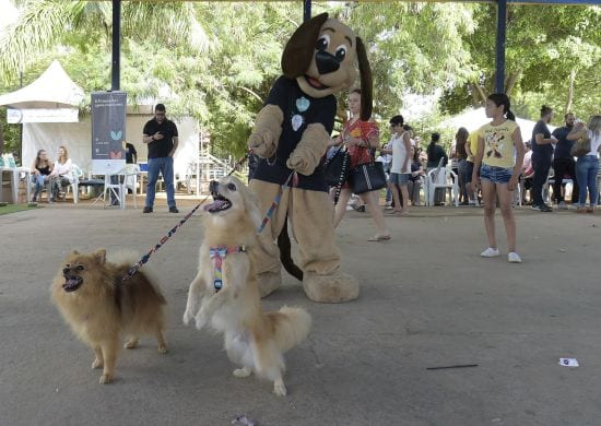 Guarulhos sanciona primeiro Código de Proteção e Bem-Estar Animal