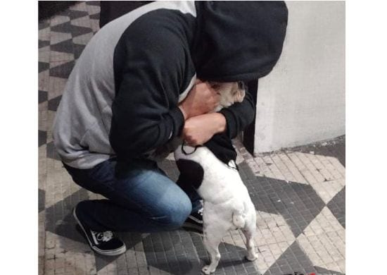 Polícia Militar recupera cadelinha furtada de residência em Guarulhos