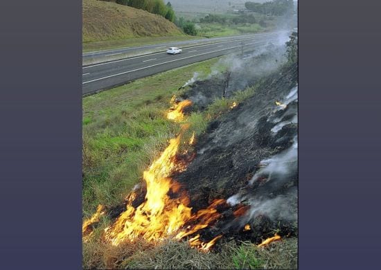 Focos de incêndio em junho e julho concentram 52% das ocorrências atendidas no ano na via Dutra