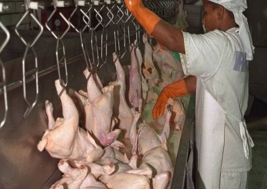China detecta coronavírus em asas de frango importadas do Brasil