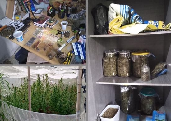 Rocam prende homem por cultivo de maconha na própria casa, em Arujá