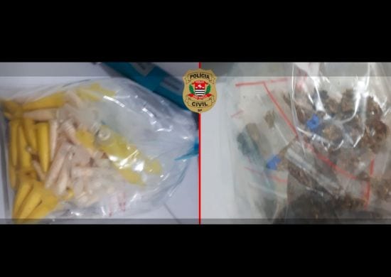Polícia civil detém grupo em Guarulhos após falsa venda pela internet
