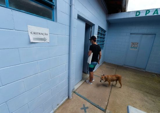 Guarulhos inicia a campanha de castração gratuita de cães e gatos em 2021