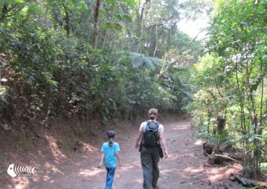 Parques estaduais de SP fecham aos finais de semana a partir de amanhã(30)