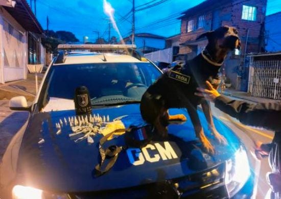 Cadela da GCM encontra droga em fundo falso de parede no Parque Marabá