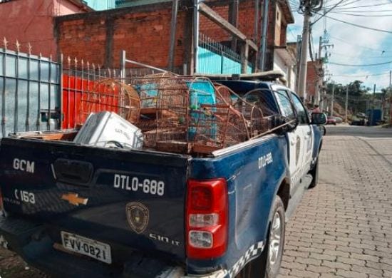 Dois homens são detidos por criação ilegal de pássaros no Recreio São Jorge