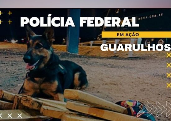 PF apreende cápsulas de cocaína dentro de frascos de suplemento alimentar em Guarulhos