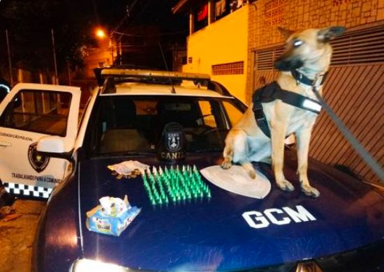 GCM apreende dois menores suspeitos de tráfico no Jardim Santa Cecília
