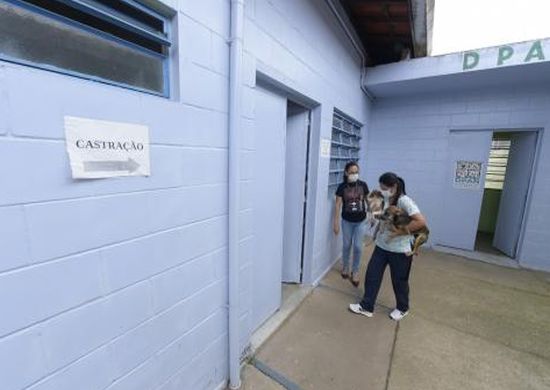 Prefeitura abre cadastro para 400 vagas de castração gratuita de cães e gatos nesta sexta(01)