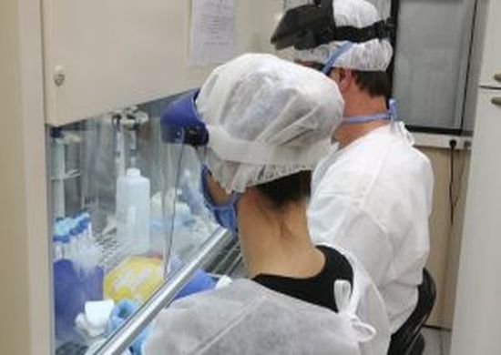 Bolsa do Povo Saúde oferece 3,8 mil vagas para estudantes de baixa renda