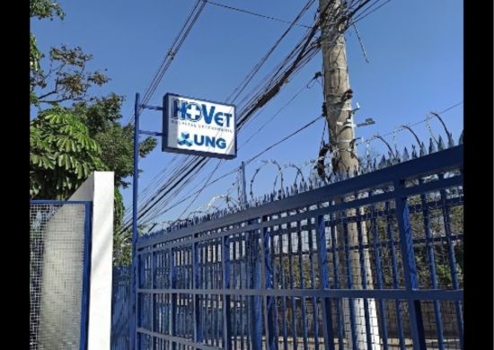Hospital Veterinário da UNG atende diversas especialidades