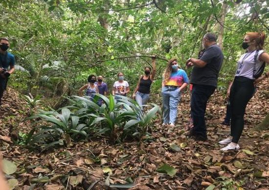 Prefeitura retoma a agenda ambiental em outubro