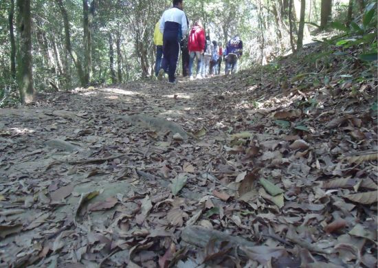 Bosque Maia e Orquidário oferecem atividades durante as férias de janeiro
