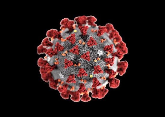 Sem SP e GO, Brasil registra a maior média móvel de casos da pandemia pelo 2º dia consecutivo