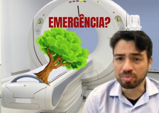 R$ 17 MILHÕES: Guti vai pagar tomografia para árvores da Educação