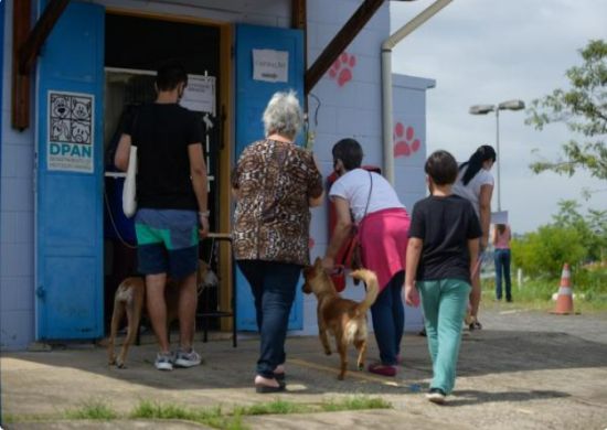Prefeitura informa que oferece mais de 1,2 mil vagas para castração gratuita de cães e gatos