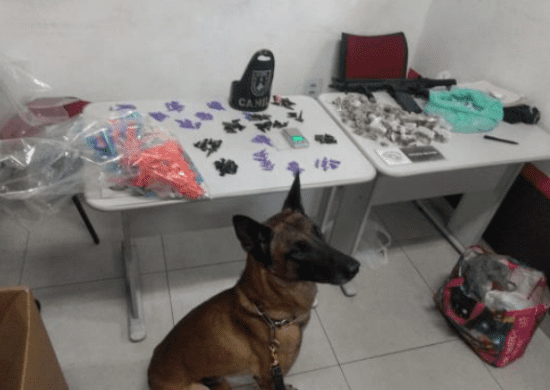 GCM apreende fuzil falso e 1.252 embalagens com drogas com auxílio de cão policial