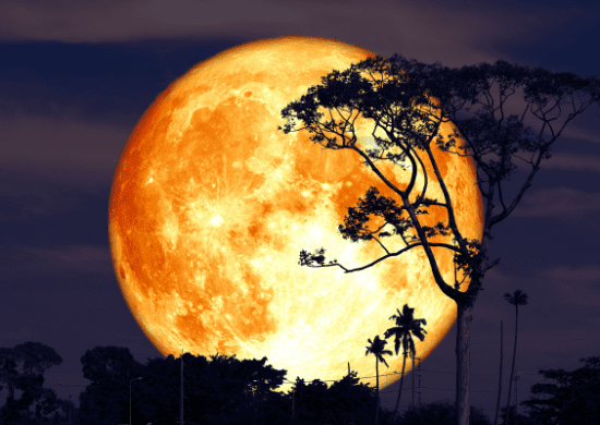 Astronomia: julho terá chuva de meteoros e Lua dos Cervos