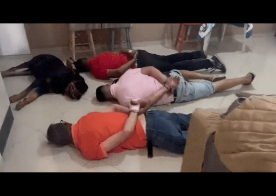 VÍDEO: Cachorro ‘traficante’ ‘se rende’ junto com criminosos em operação em SP
