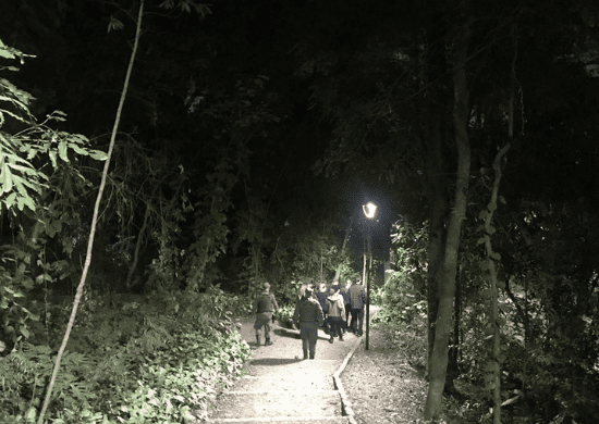 Trilha noturna encerra a programação ambiental de julho no Bosque Maia