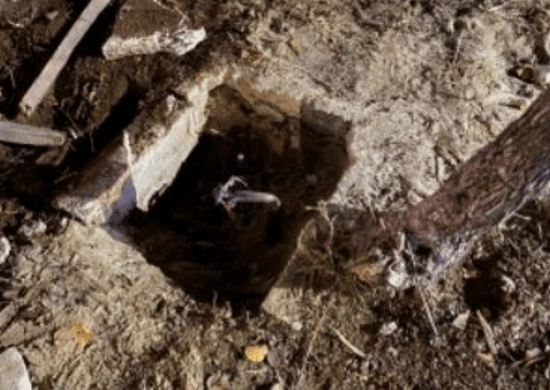 GCM prende homem por furto de fios elétricos no Viaduto Fioravante Iervolino