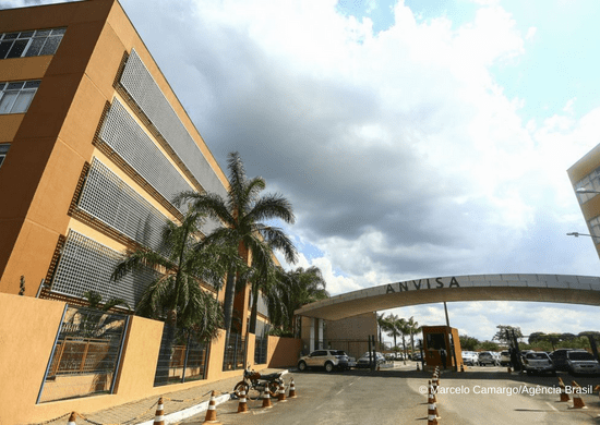 Anvisa aprova terceiro produto de terapia avançada para tratar câncer