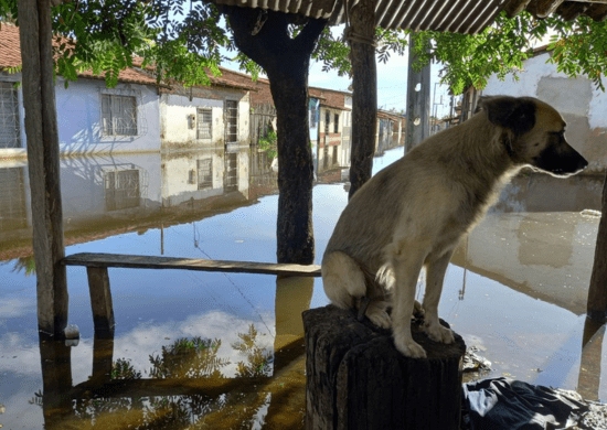 Rompimento de barragem alaga 23 casas e deixa 32 desalojados no Ceará