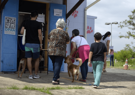 Prefeitura abre 870 vagas remanescentes para castração gratuita de cães e gatos neste mês