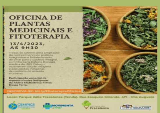 Oficina ensina a utilizar plantas medicinais para cuidar da saúde