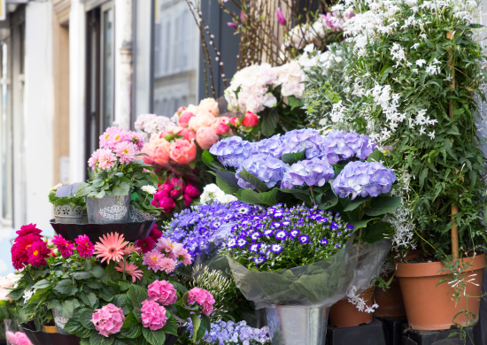 Prefeitura recebe inscrições para o comércio de flores no Dia das Mães