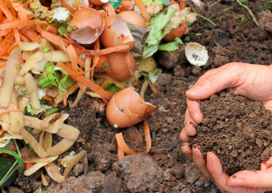 3ª Semana da Compostagem está com inscrições abertas em Guarulhos