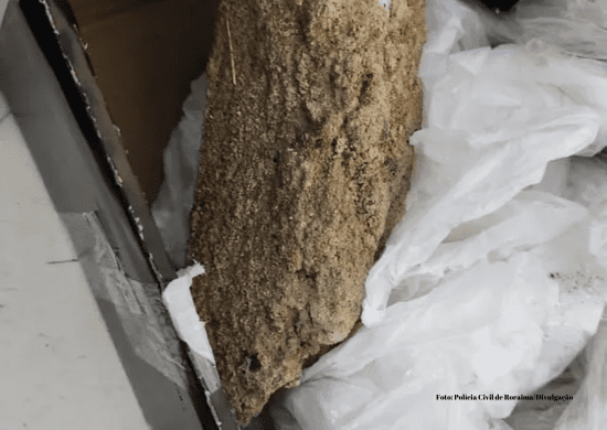 Serralheiro é preso após vender pedra no lugar de celular e tentar enviar para Guarulhos