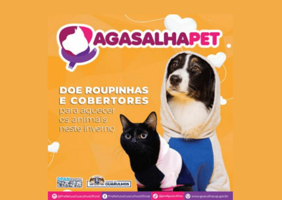 Campanha Agasalha Pet recebe doações de roupinhas para cães e gatos em 24 endereços